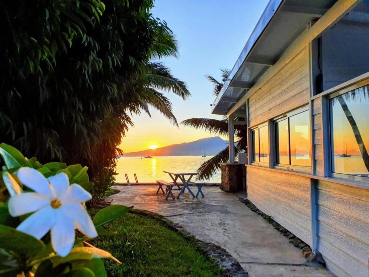 Moorea - Bungalow Chez Papou Afareaitu Esterno foto
